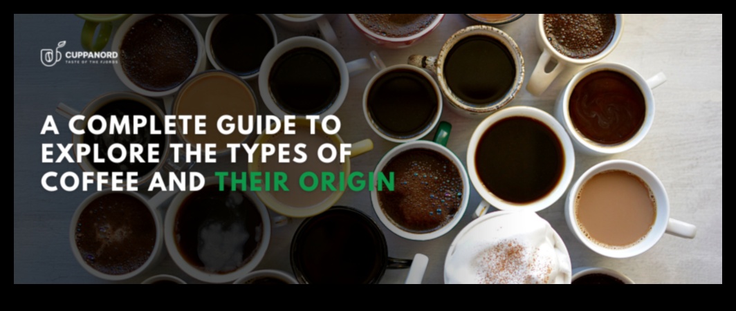 סימפוניה מלאת טעם: הרמוניה של טעמים בכוס המרעננת שלך