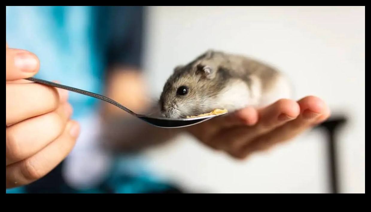 המשך טיפים לטיול באוגרים: הכנה למסעות ללא מתח