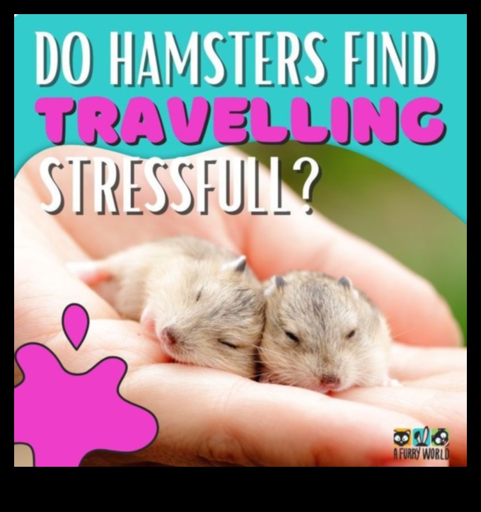 המשך טיפים לטיול באוגרים: הכנה למסעות ללא מתח