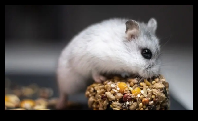 המשך טיפים לטיול באוגרים: הכנה למסעות ללא מתח