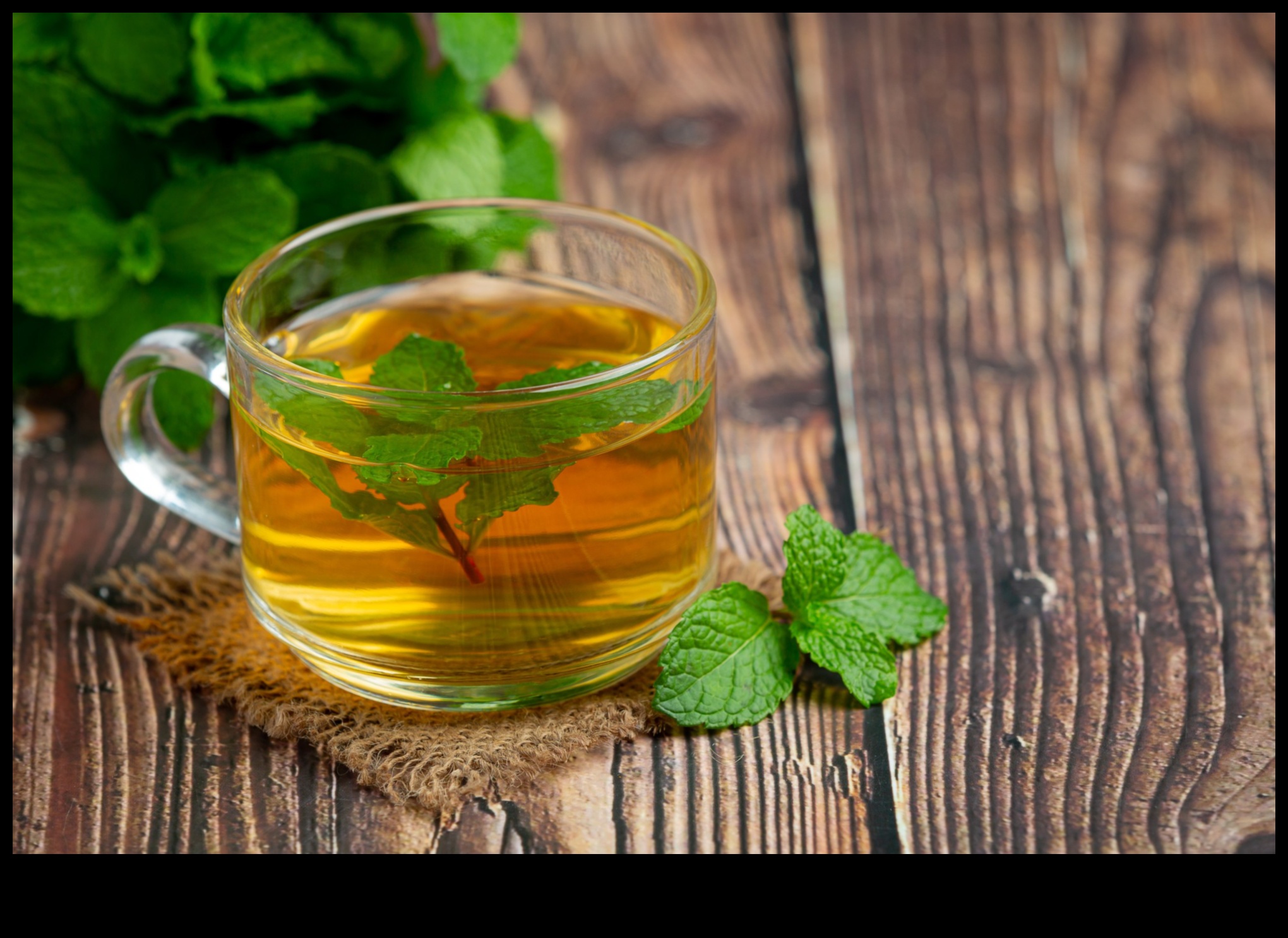 אליקסיר הנענע: פותח את הקסם של תה מנטה