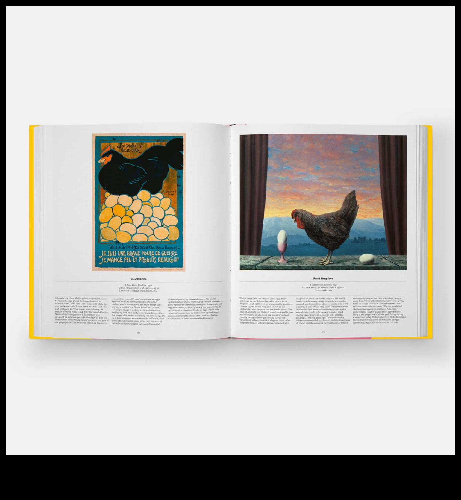 Winged Wonders: אביזר ציפור המחמד שלך לזוהר