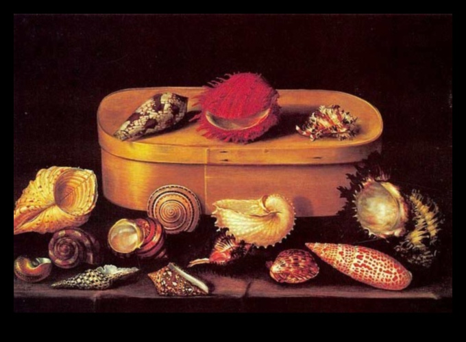 חפצים במנוחה: העולם השלו של טבע דומם