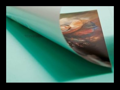 אמנות המיזוג הירוק: יצירת יצירות מופת חזותיות ותזונתיות