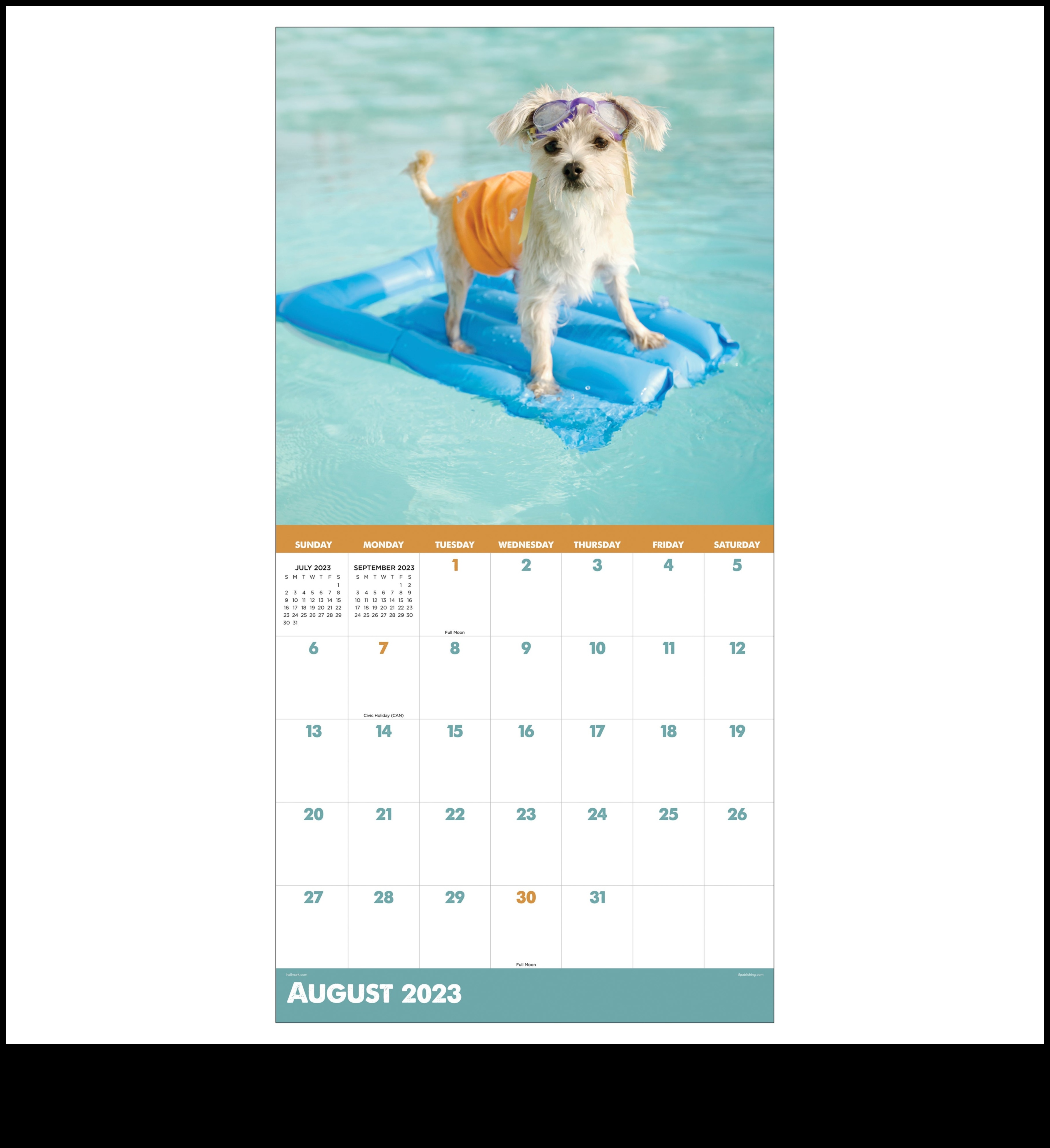 לוח שנה של כלבים המשך: חוגגים כלבים בכל חודש