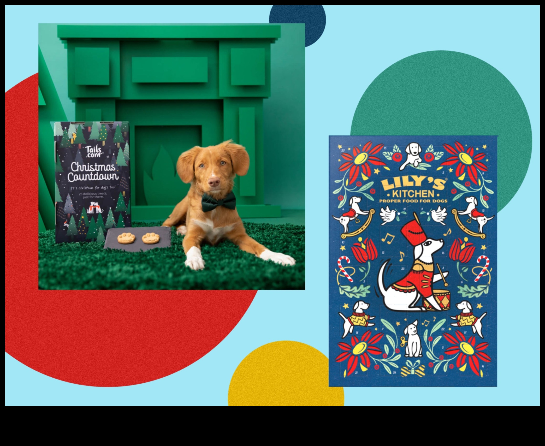 לוח שנה של כלבים המשך: חוגגים כלבים בכל חודש