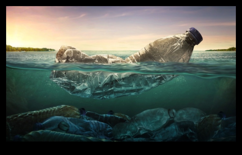 אקווה אומנים: חוגגים אמנים מודרניים בהשראת החיים הימיים