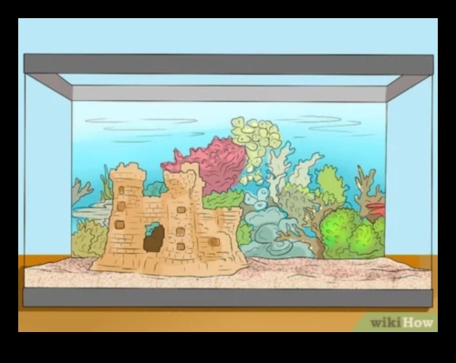 המשך קישוטי אקווה: שיפור האסתטיקה של הדגים שלך