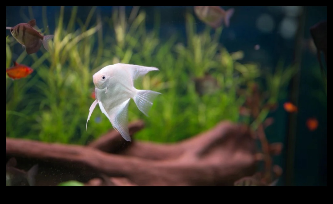 ממצאים בטעם סנפיר: אביזרים חובה עבור חיות המחמד שלך באקווריום