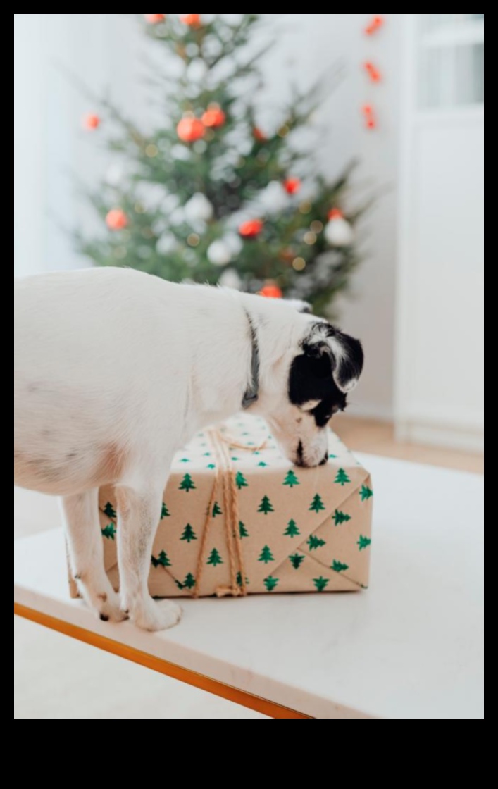 מסנוור ללא כף רגל המשך: שמירה על חיית המחמד שלך נוצצת עם אביזרים