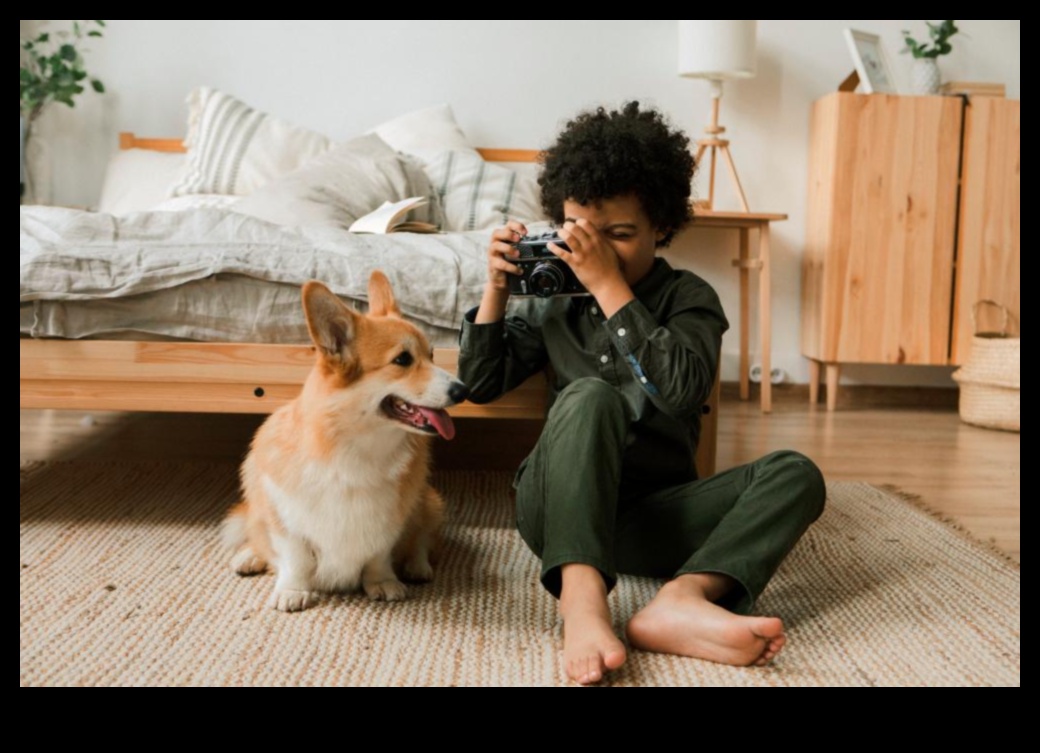 מסנוור ללא כף רגל המשך: שמירה על חיית המחמד שלך נוצצת עם אביזרים