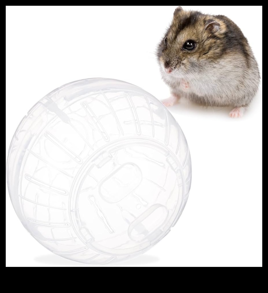 מעבר לכדור: אפשרויות תרגיל חלופיות עבור אוגרים