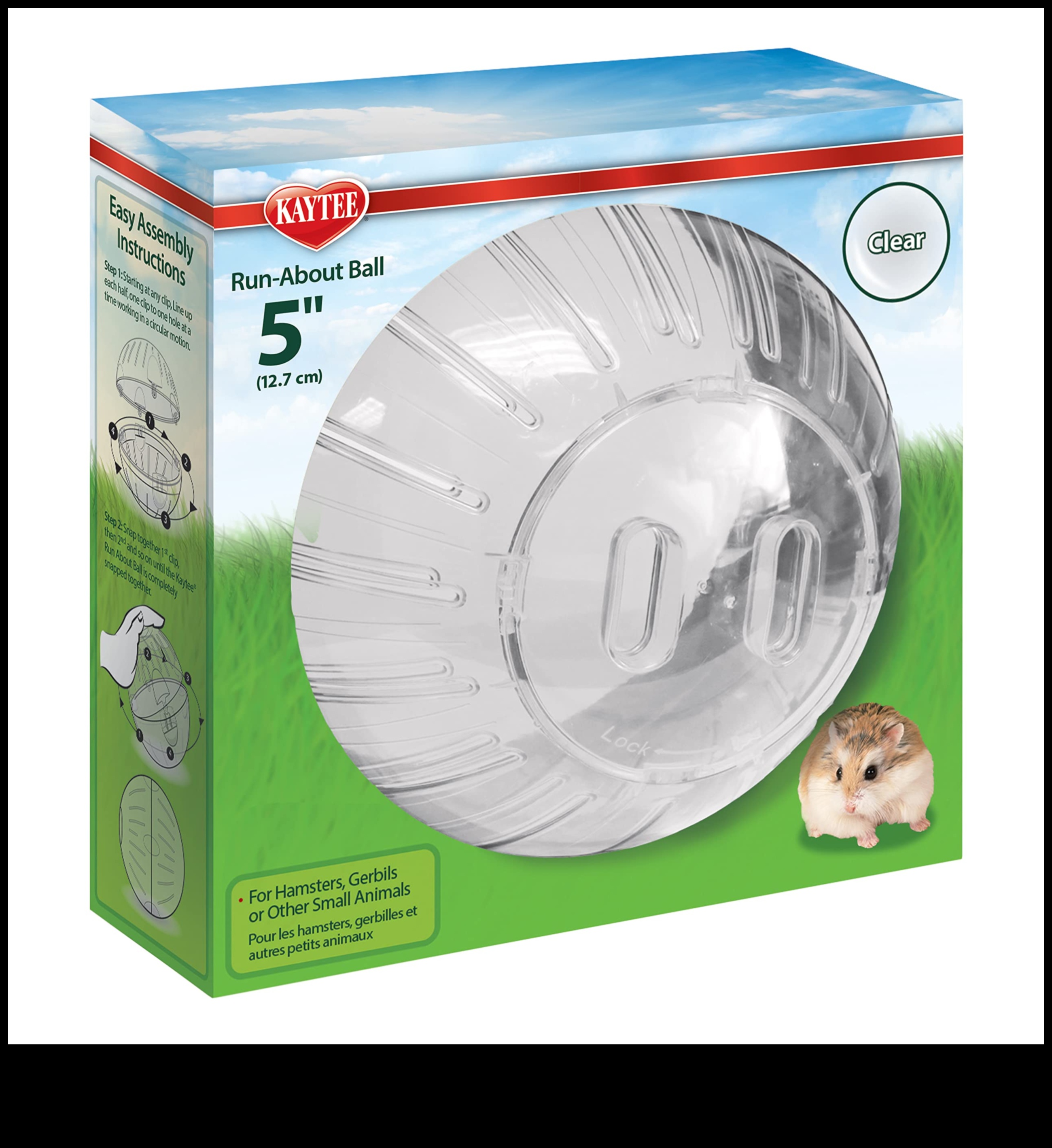 מעבר לכדור: אפשרויות תרגיל חלופיות עבור אוגרים