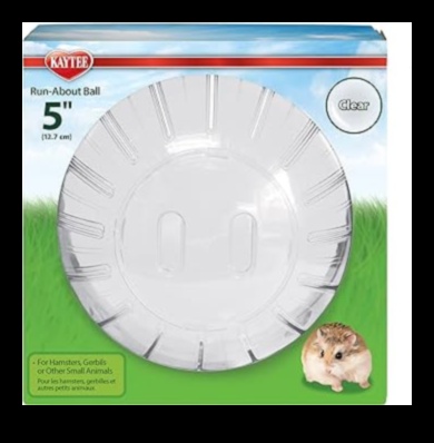 מעבר לכדור: אפשרויות תרגיל חלופיות עבור אוגרים