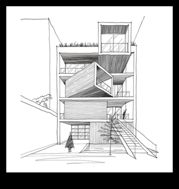 מקו לצורה: מבנה מבנה ברישומי חיים