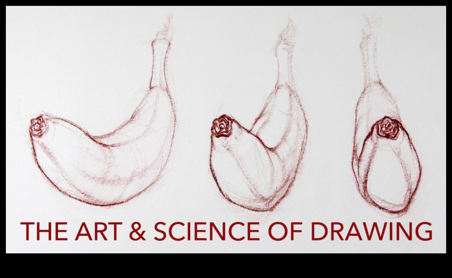 דיוק בתרגול: העברת רעיונות באמצעות איור מדעי