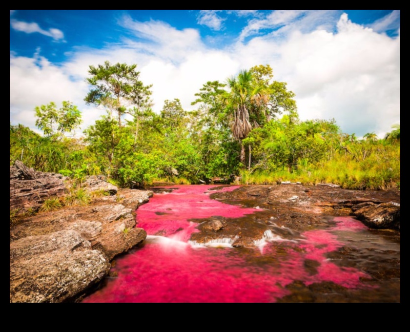 ביטויים פנטסטיים: הצגת יופי של עולם אחר על נייר