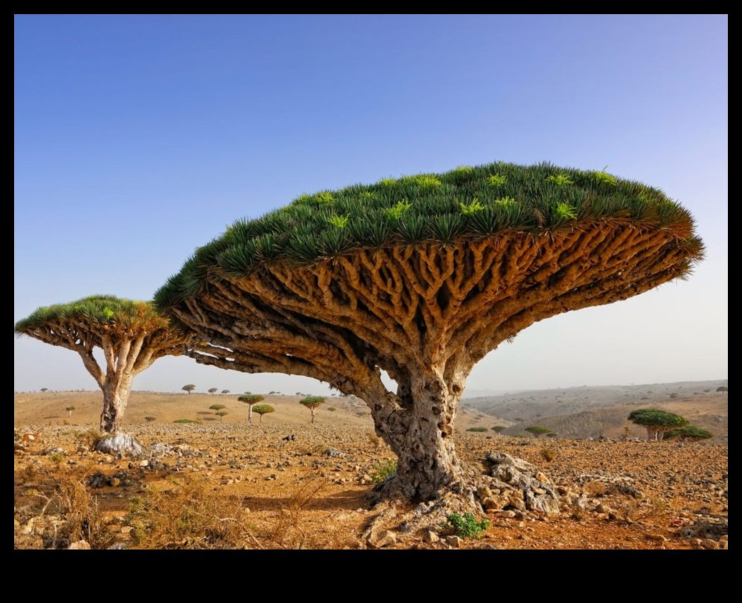 ביטויים פנטסטיים: הצגת יופי של עולם אחר על נייר