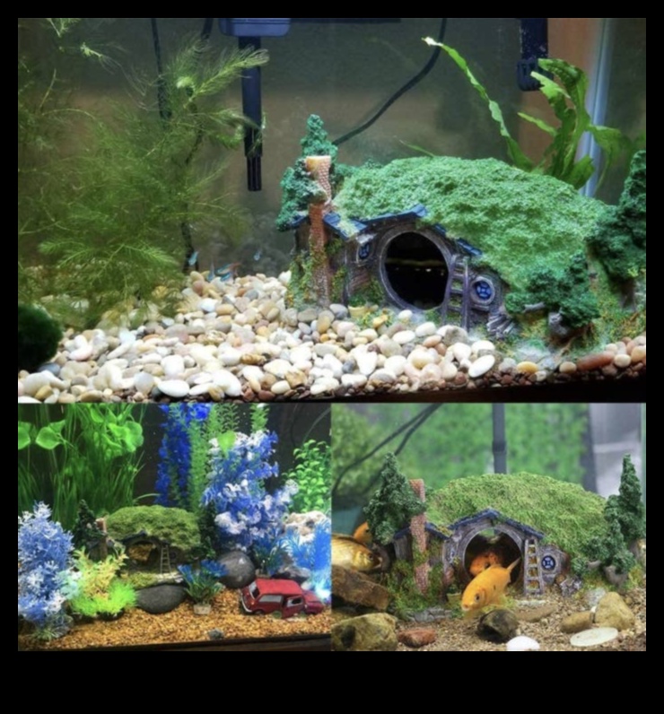 ממצאים בטעם סנפיר: אביזרים חובה עבור חיות המחמד שלך באקווריום