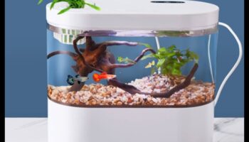 תצוגת אופנה של דג טנק: עיצוב חיות מחמד באקווריום עם אביזרים