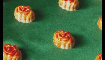 ירוק אלגנטיות: להתענג על האומנות של תענוגות טבעוניים