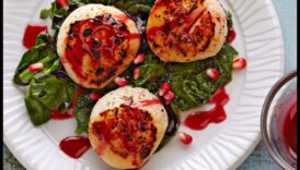 אלגנטיות חלבון: צלול לעולם הקולינרי שלנו של מתכוני גורמה