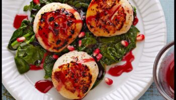 אלגנטיות חלבון: צלול לעולם הקולינרי שלנו של מתכוני גורמה