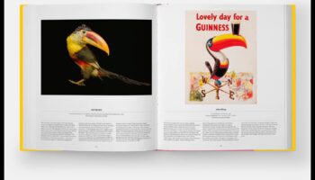 Winged Wonders: אביזר ציפור המחמד שלך לזוהר