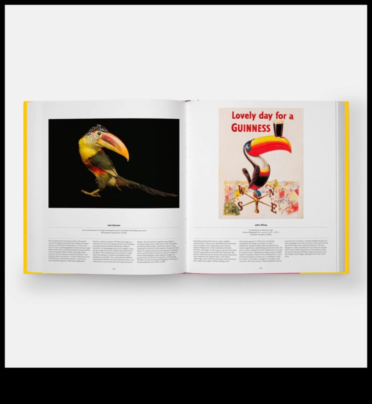 Winged Wonders: אביזר ציפור המחמד שלך לזוהר