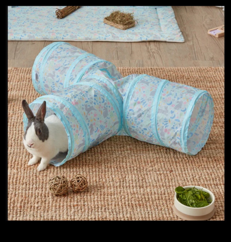 באני בליס: יצירת מרחבי חוץ בטוחים עבור ארנבות