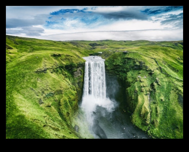 ביטויים פנטסטיים: הצגת יופי של עולם אחר על נייר