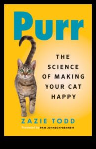 חללים בהתאמה אישית לגרגר המשך: התאמת ביתך לנוחות החתול שלך