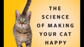 חללים בהתאמה אישית לגרגר המשך: התאמת ביתך לנוחות החתול שלך