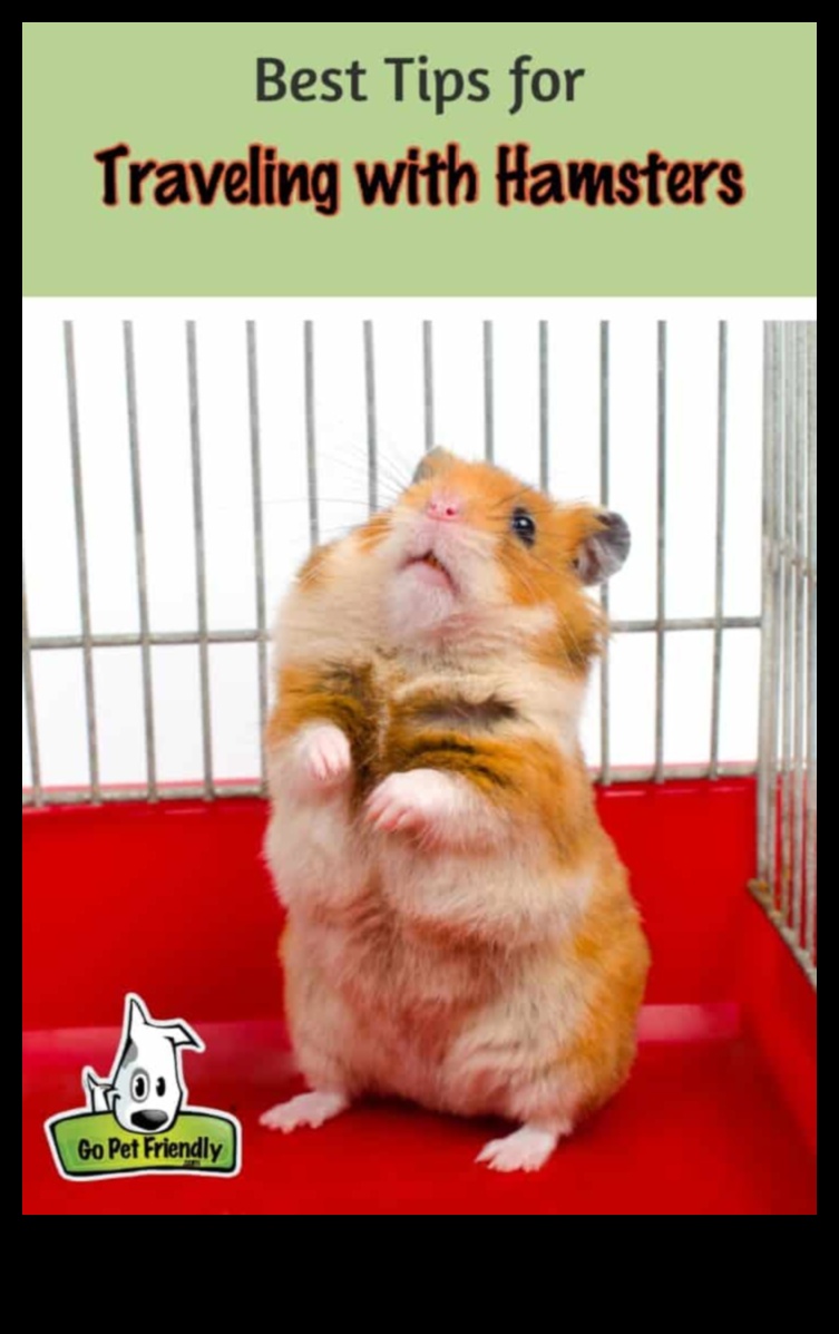 המשך טיפים לטיול באוגרים: הכנה למסעות ללא מתח