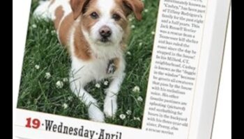 לוח שנה של כלבים המשך: חוגגים כלבים בכל חודש