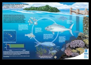 שימור בית גידול דגים: מאמצים להגנה על סביבות טבעיות