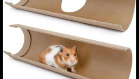 המשך מחבואי אוגרים: רעיונות לקינון לפי נושאים ונעימים