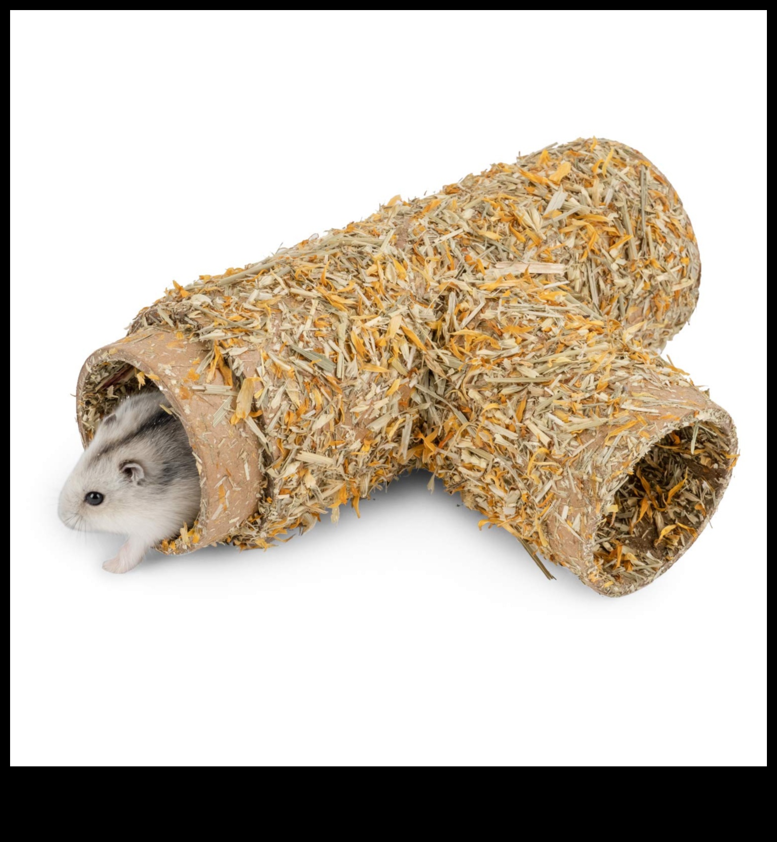 המשך מחבואי אוגרים: רעיונות קינון יצירתיים