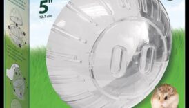 מעבר לכדור: אפשרויות תרגיל חלופיות עבור אוגרים