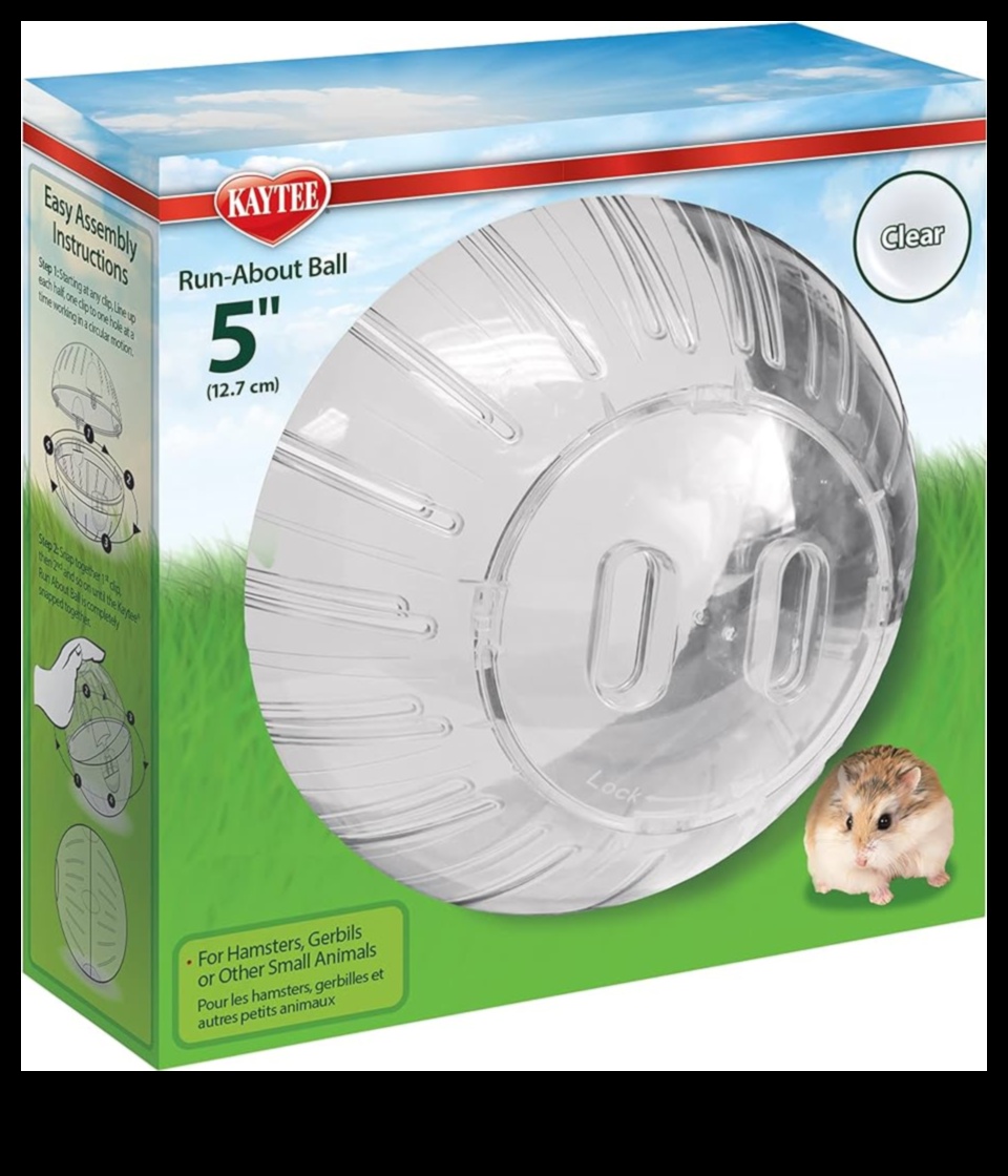 מעבר לכדור: אפשרויות תרגיל חלופיות עבור אוגרים