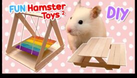 צעצועי אוגר עשה זאת בעצמך: יצירת אביזרים שובבים לבידור