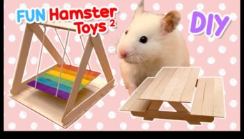 צעצועי אוגר עשה זאת בעצמך: יצירת אביזרים שובבים לבידור