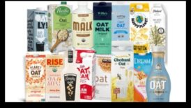 קרמי וחולמני: חקר עולם זני חלב שיבולת שועל