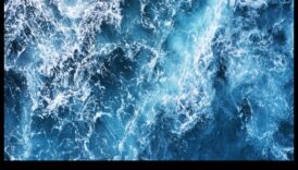 תעלומות כחולות עמוקות: תופעות מוזרות במעמקי האוקיינוס