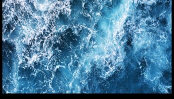 תעלומות כחולות עמוקות: תופעות מוזרות במעמקי האוקיינוס